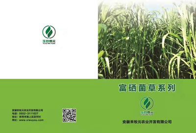 禾木元富硒菌種苗與生物有機(jī)肥料的創(chuàng)新研發(fā)