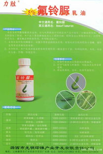 綠色農(nóng)業(yè)新篇章 潞西市光明印楝產(chǎn)業(yè)的多元化產(chǎn)品布局與生態(tài)承諾