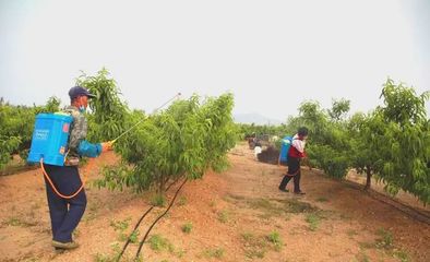 世代海洋生物科技 以科技與創(chuàng)新為雙翼，引領(lǐng)海帶行業(yè)與生物有機(jī)肥研發(fā)新篇章