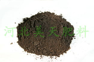 河北美天集團(tuán) 以科技創(chuàng)新引領(lǐng)質(zhì)高效生物有機(jī)肥料研發(fā)，助推綠色農(nóng)業(yè)可持續(xù)發(fā)展