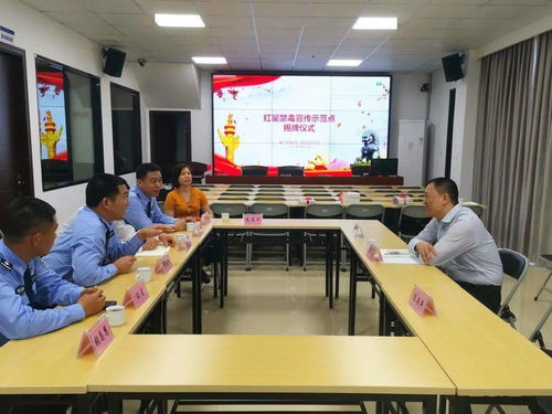 為民辦實事 同安區(qū)司法局教育整頓出實效，成果轉(zhuǎn)化惠民生
